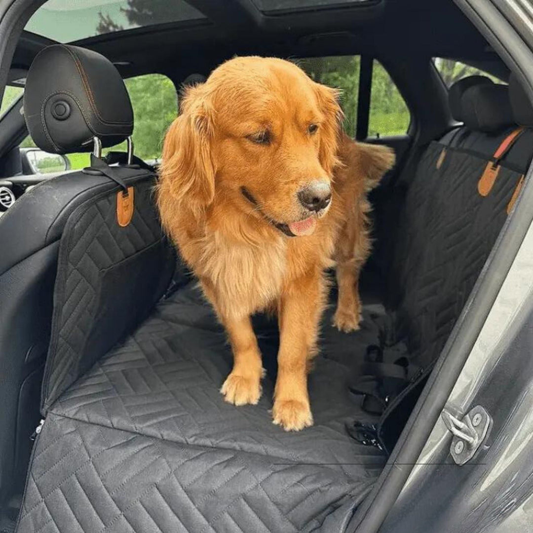 Waterdichte autostoelverlenger voor honden met stevige bodem en traagschuimbed