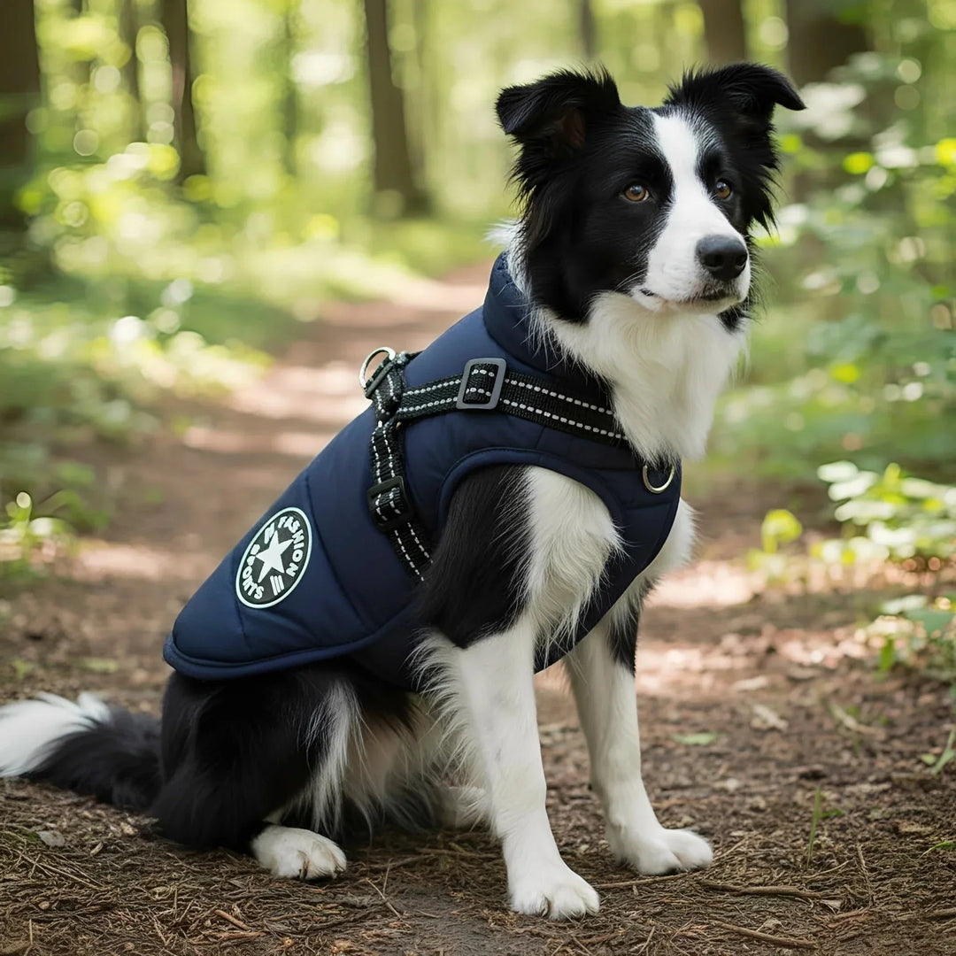 Gewatteerde winterjas voor honden met geïntegreerd tuig