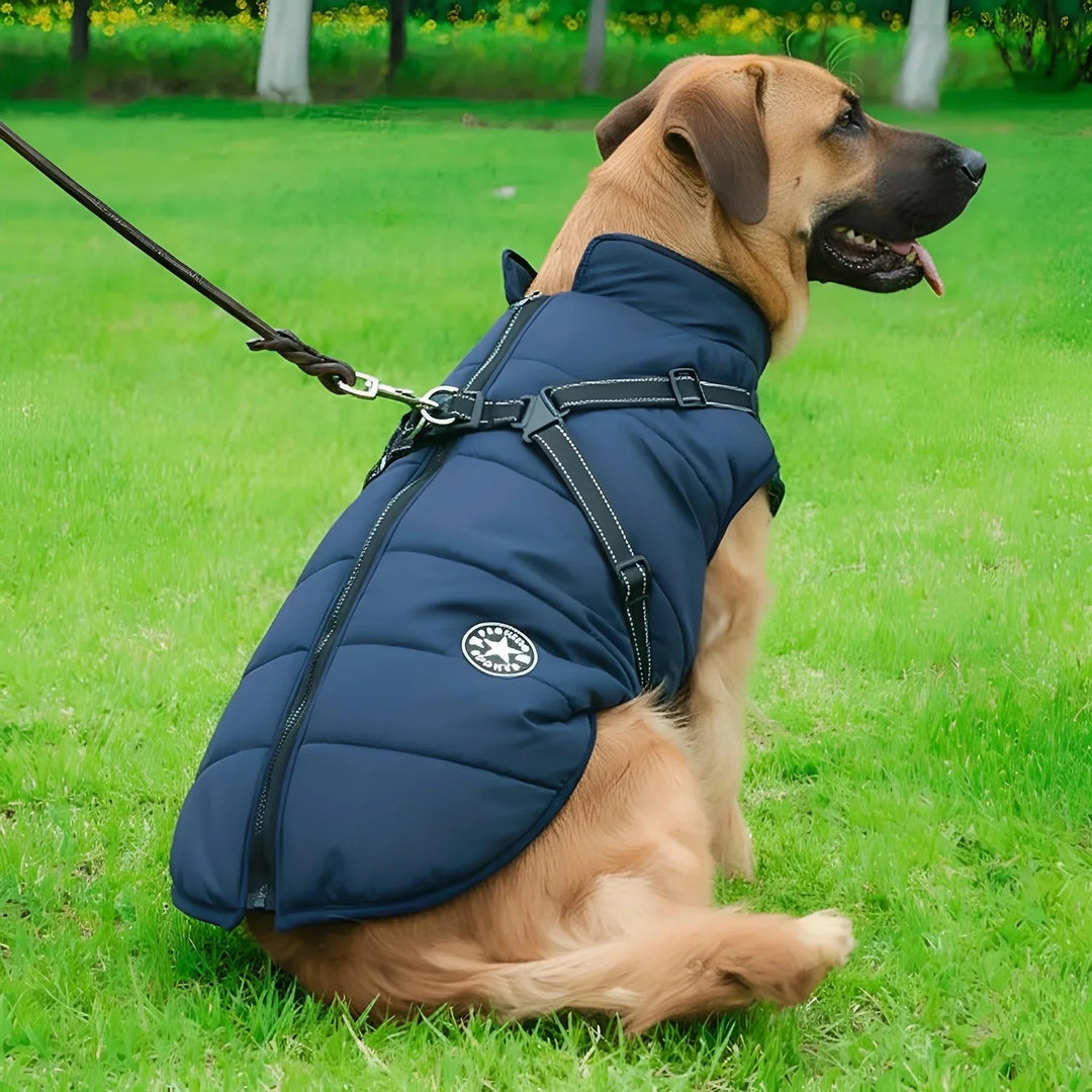 Gewatteerde winterjas voor honden met geïntegreerd tuig