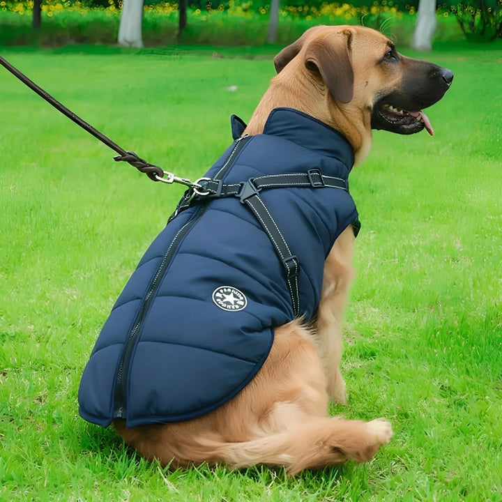 Gewatteerde winterjas voor honden met geïntegreerd tuig