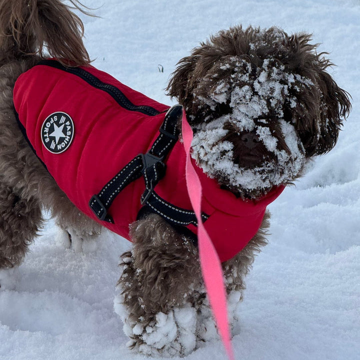 Gewatteerde winterjas voor honden met geïntegreerd tuig