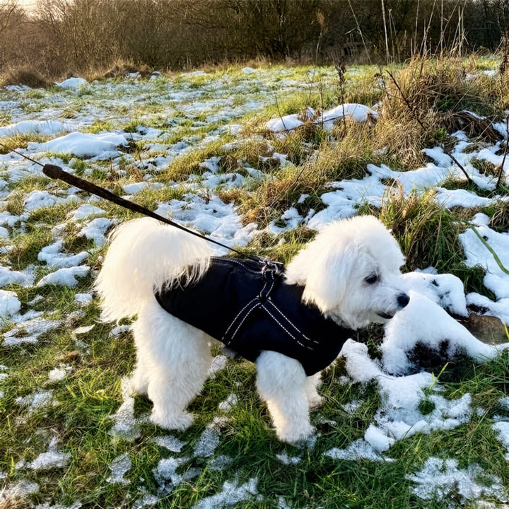 Gewatteerde winterjas voor honden met geïntegreerd tuig