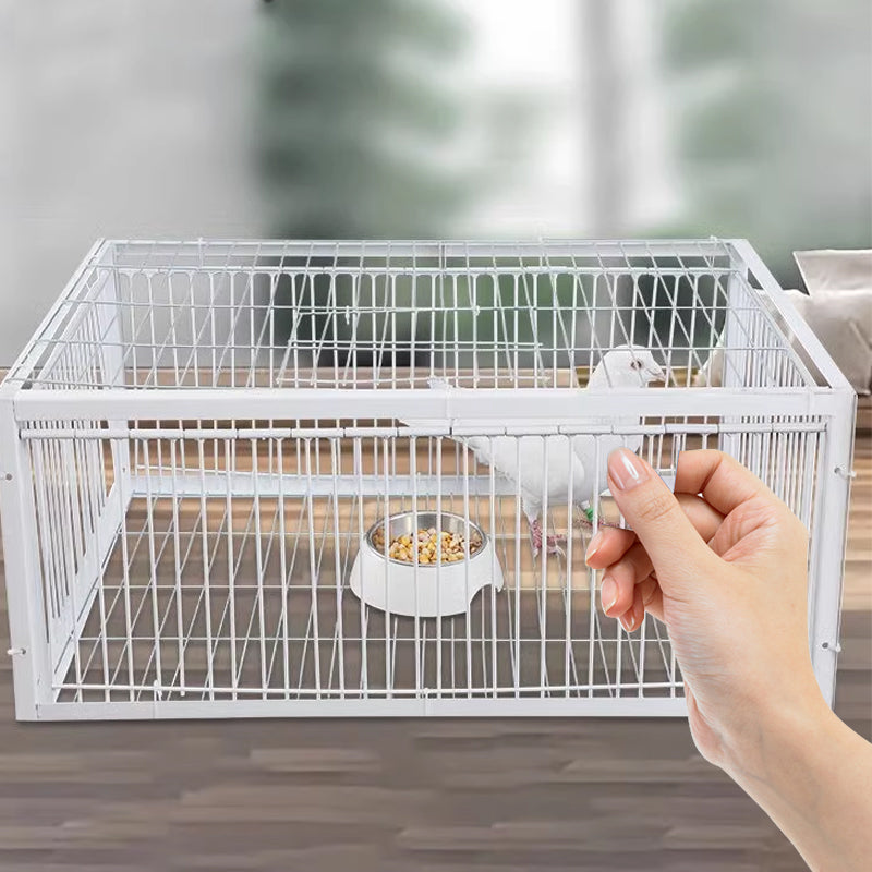 Diervriendelijke Vogelval met Terugslagbeveiliging – BirdSafe Trap