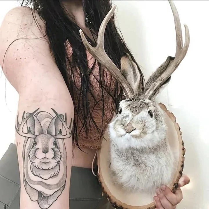 Opgezette jackalope als wandtrofee op houten plaquette