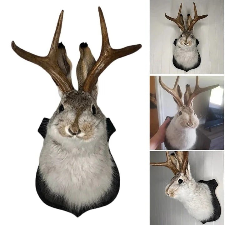 Opgezette jackalope als wandtrofee op houten plaquette